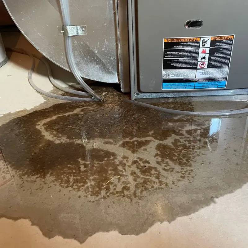 Pipe Burst and Leak Restoration in Saint Clair, MO