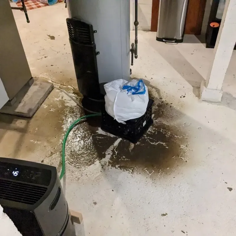 Sewage Backup Cleanup Service in Saint Clair, MO